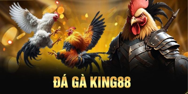 Cập nhật thông tin về kiểu cược đá gà King88 hot nhất
