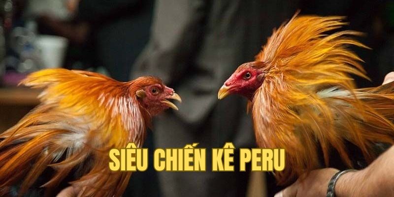 Puru - Chiên kê được yêu thích bậc nhất hiện nay