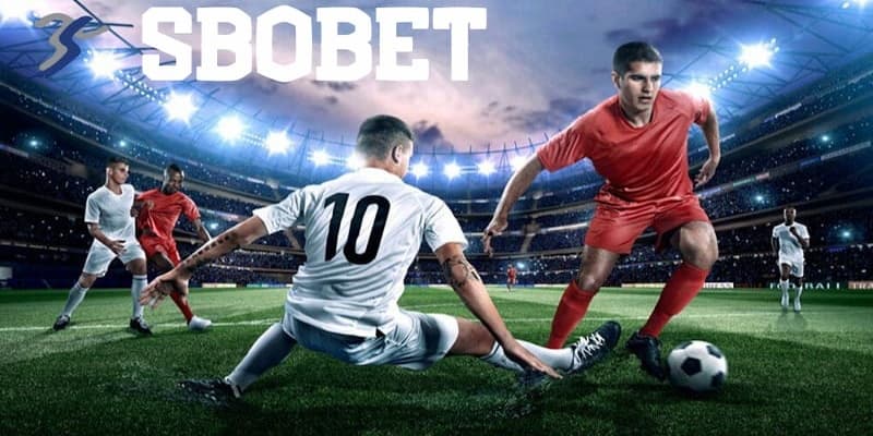 SBOBET – Nhà cung cấp giải trí cá cược